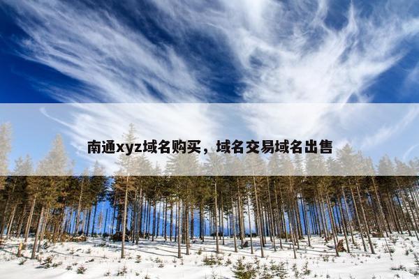 南通xyz域名购买，域名交易域名出售