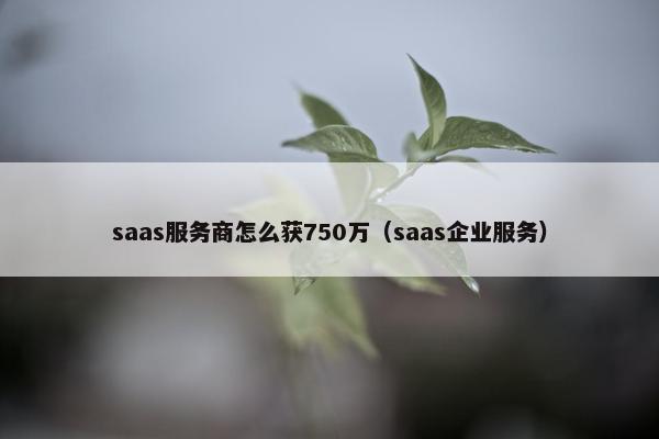 saas服务商怎么获750万（saas企业服务）