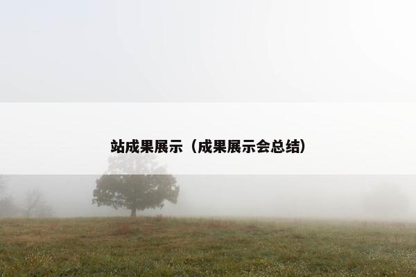 站成果展示（成果展示会总结）