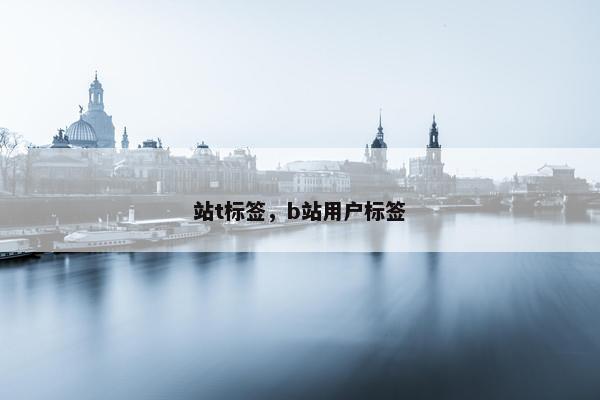 站t标签，b站用户标签