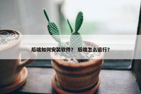 后端如何安装软件？ 后端怎么运行？