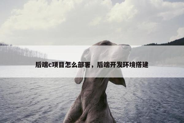 后端c项目怎么部署，后端开发环境搭建