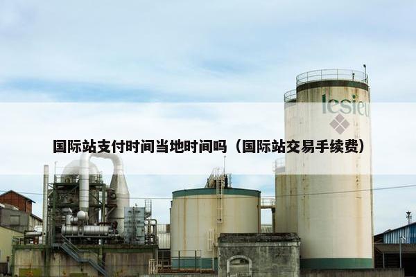 国际站支付时间当地时间吗（国际站交易手续费）