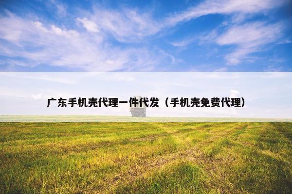 广东手机壳代理一件代发（手机壳免费代理）