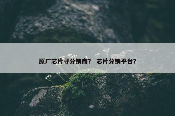 原厂芯片寻分销商？ 芯片分销平台？