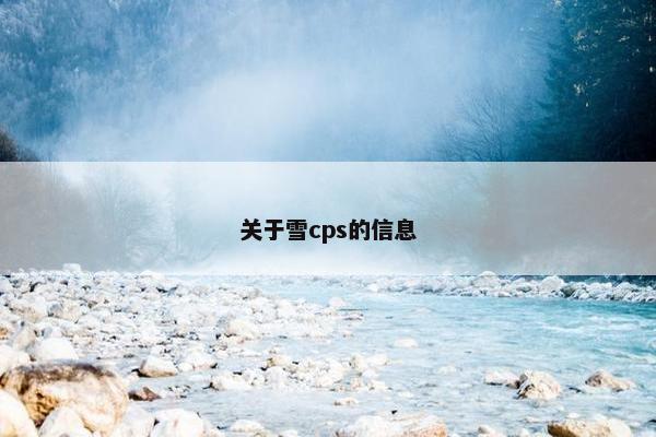 关于雪cps的信息