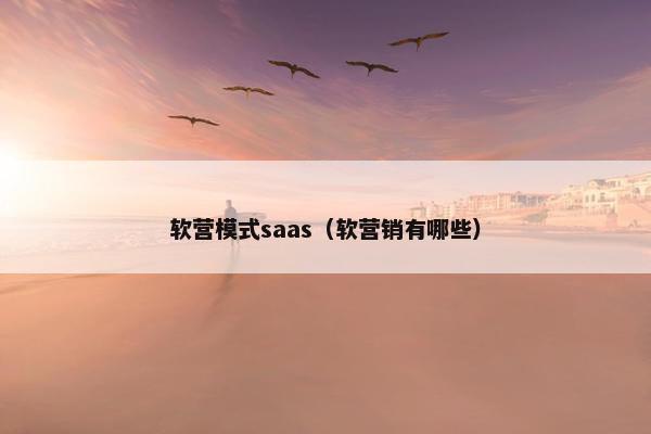 软营模式saas（软营销有哪些）