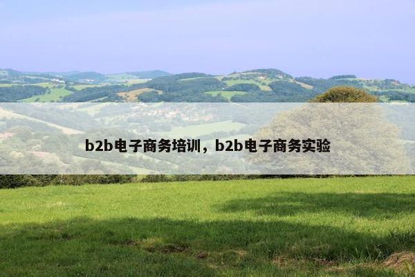 b2b电子商务培训，b2b电子商务实验