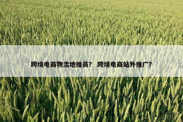 跨境电商物流地推员？ 跨境电商站外推广？
