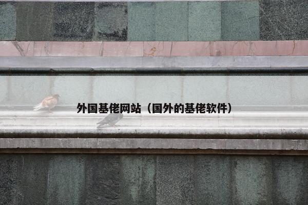 外国基佬网站（国外的基佬软件）