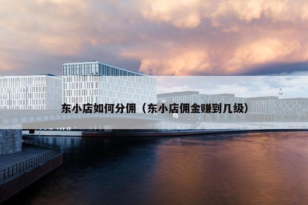 东小店如何分佣（东小店佣金赚到几级）