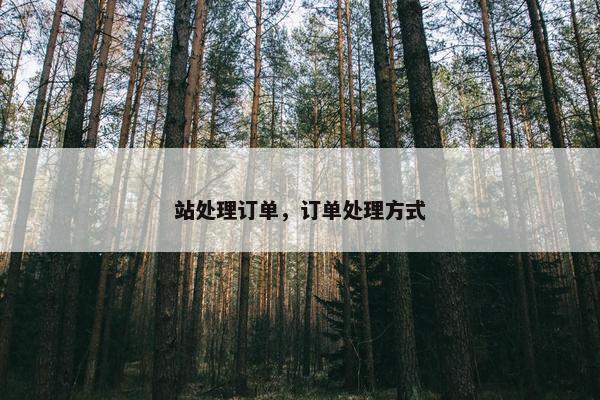 站处理订单，订单处理方式