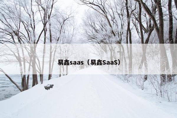 易鑫saas（易鑫SaaS）
