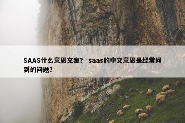 SAAS什么意思文案？ saas的中文意思是经常问到的问题？
