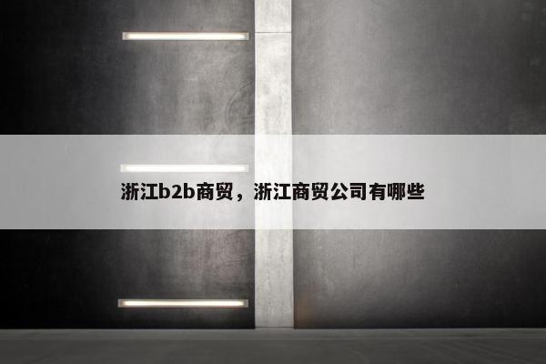 浙江b2b商贸，浙江商贸公司有哪些