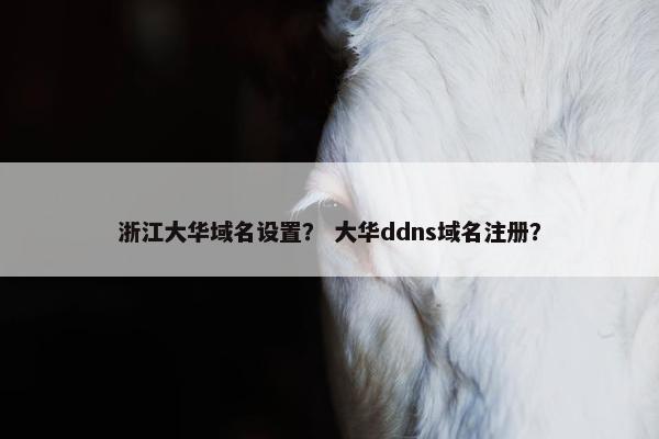浙江大华域名设置？ 大华ddns域名注册？