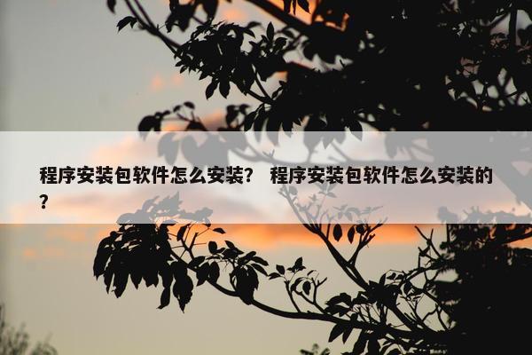 程序安装包软件怎么安装？ 程序安装包软件怎么安装的？