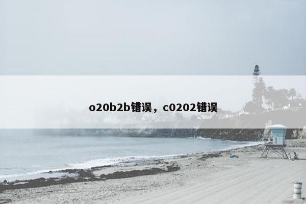 o20b2b错误，c0202错误