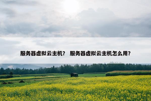 服务器虚拟云主机？ 服务器虚拟云主机怎么用？