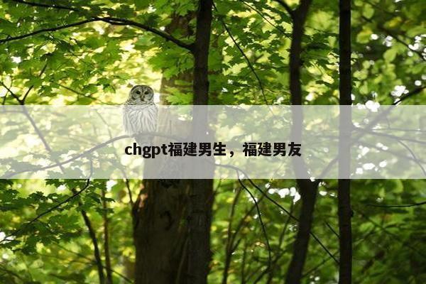 chgpt福建男生，福建男友
