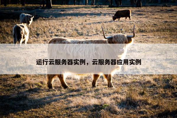运行云服务器实例，云服务器应用实例
