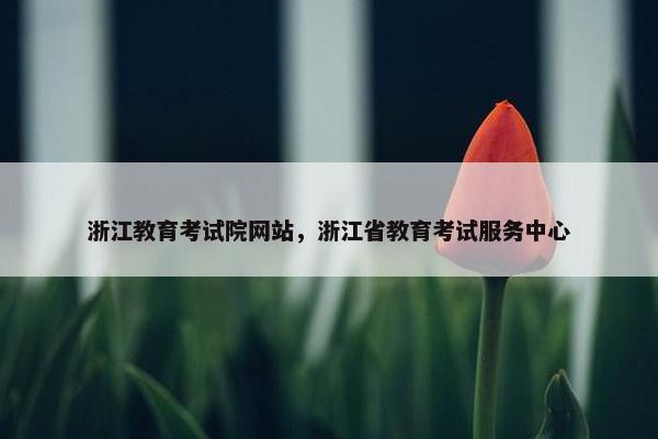浙江教育考试院网站，浙江省教育考试服务中心