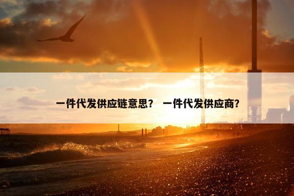 一件代发供应链意思？ 一件代发供应商？