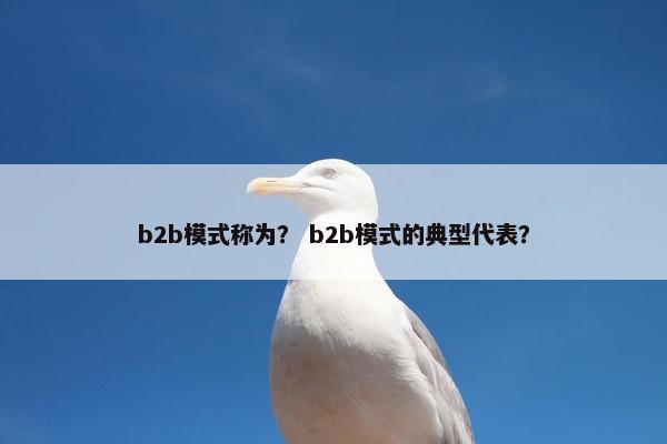 b2b模式称为？ b2b模式的典型代表？