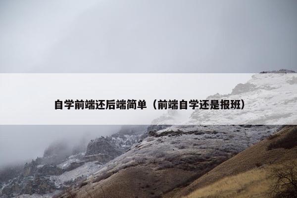 自学前端还后端简单（前端自学还是报班）
