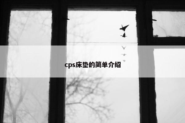cps床垫的简单介绍
