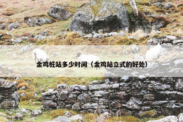 金鸡桩站多少时间（金鸡站立式的好处）
