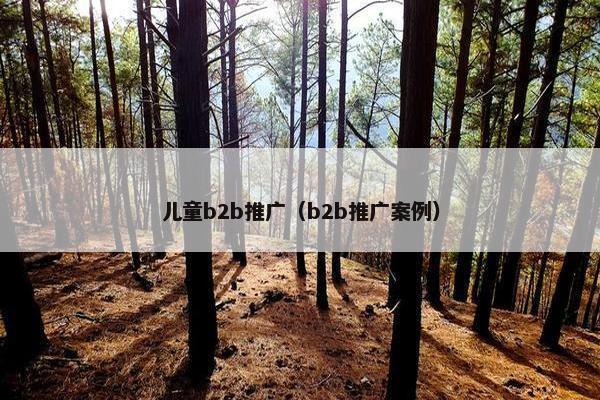 儿童b2b推广（b2b推广案例）