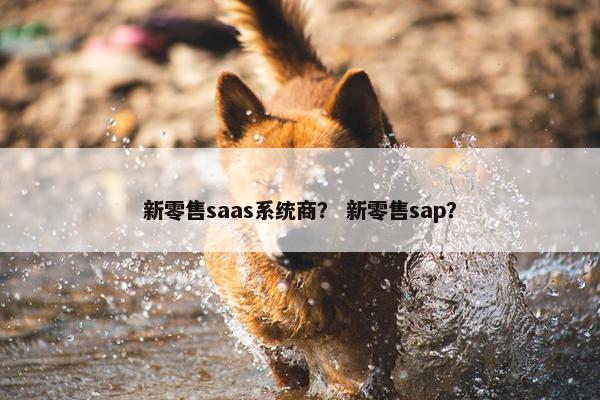 新零售saas系统商？ 新零售sap？