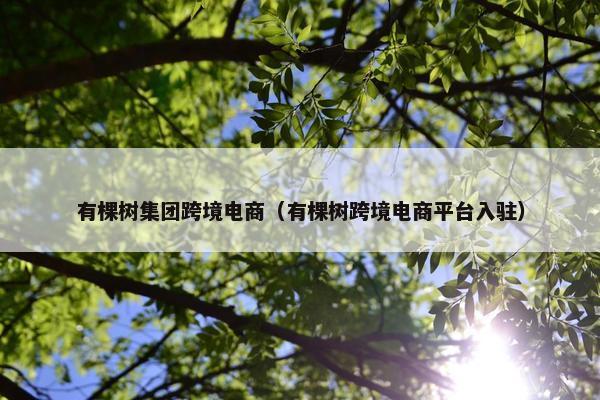 有棵树集团跨境电商（有棵树跨境电商平台入驻）