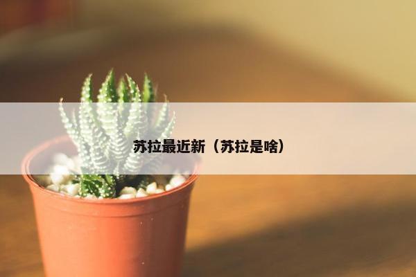 苏拉最近新（苏拉是啥）
