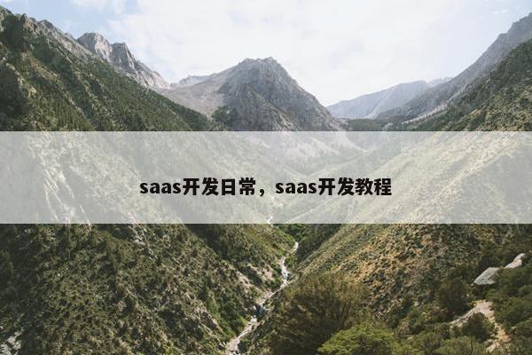 saas开发日常，saas开发教程