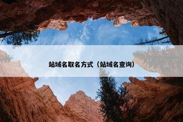 站域名取名方式（站域名查询）
