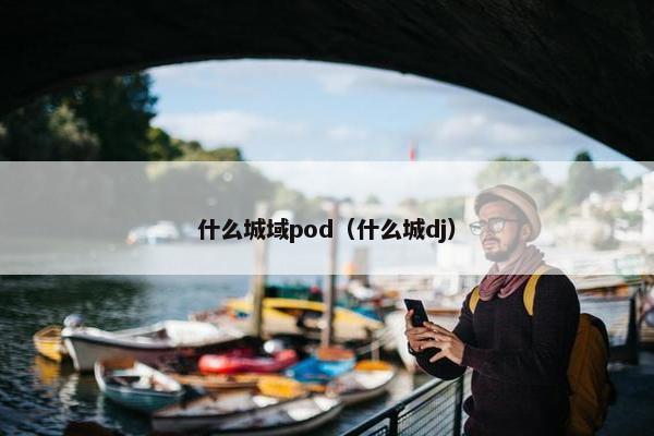 什么城域pod（什么城dj）