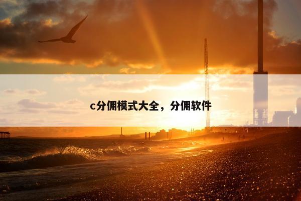 c分佣模式大全，分佣软件