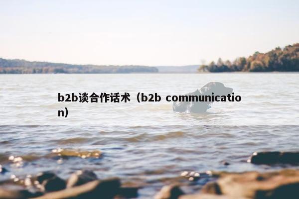 b2b谈合作话术（b2b communication）