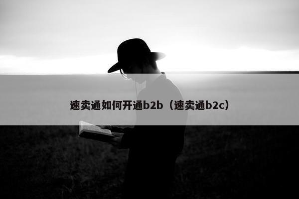 速卖通如何开通b2b（速卖通b2c）