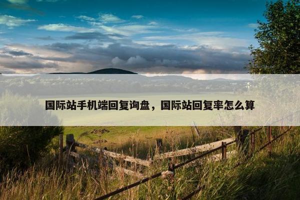 国际站手机端回复询盘，国际站回复率怎么算