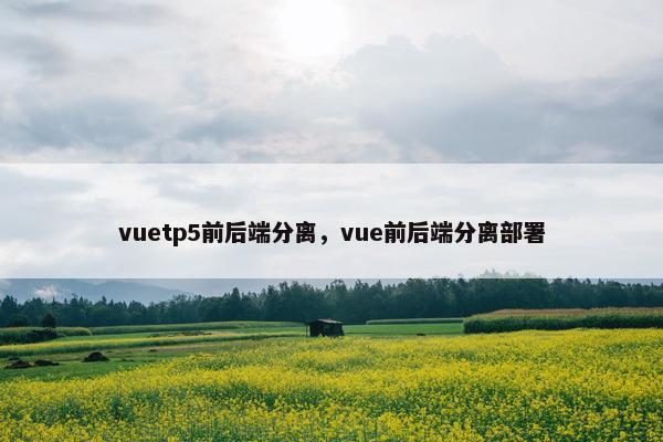 vuetp5前后端分离，vue前后端分离部署