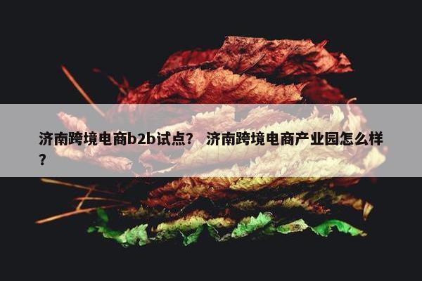 济南跨境电商b2b试点？ 济南跨境电商产业园怎么样？