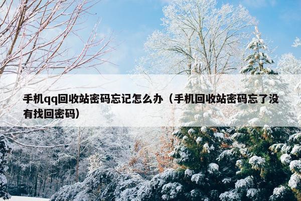 手机qq回收站密码忘记怎么办（手机回收站密码忘了没有找回密码）