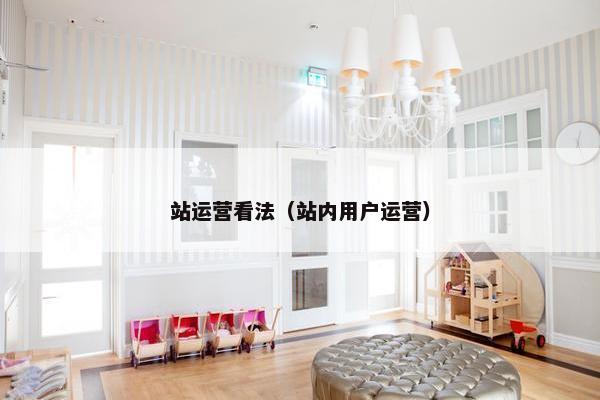 站运营看法（站内用户运营）
