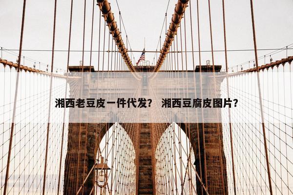 湘西老豆皮一件代发？ 湘西豆腐皮图片？