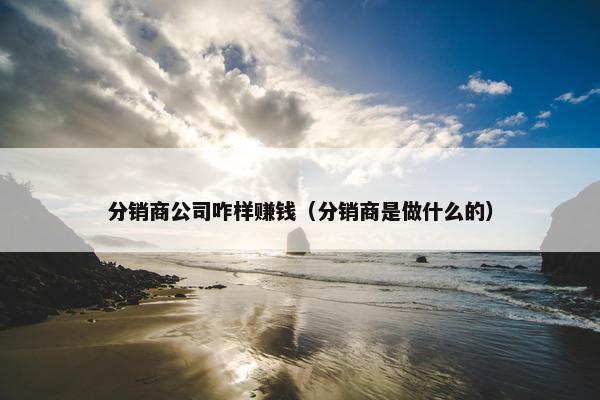 分销商公司咋样赚钱（分销商是做什么的）