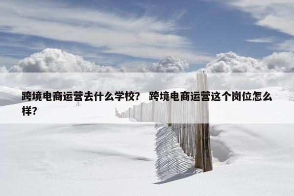 跨境电商运营去什么学校？ 跨境电商运营这个岗位怎么样？