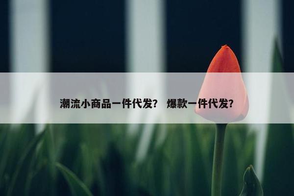 潮流小商品一件代发？ 爆款一件代发？